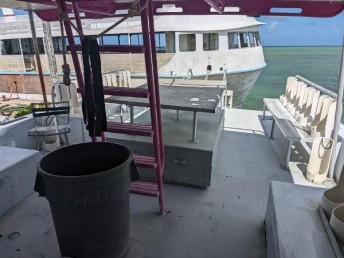 Newton 36 Dive Special