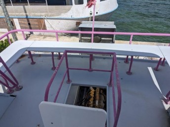 Newton 36 Dive Special