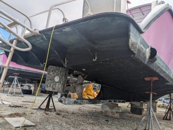 Newton 36 Dive Special