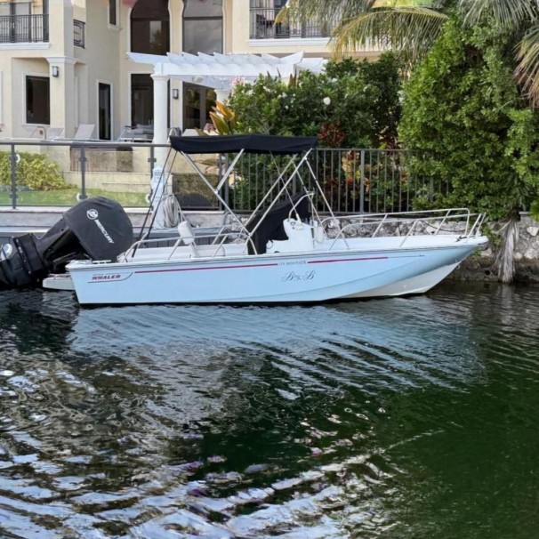 2018 Boston Whaler 170 Montauk