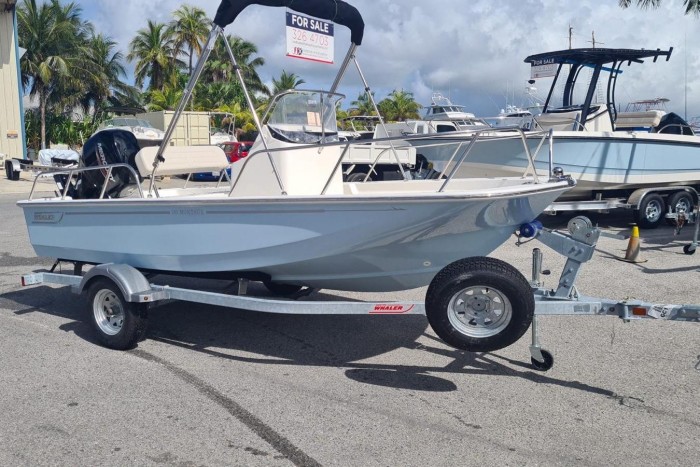 2022 Boston Whaler 150 Montauk