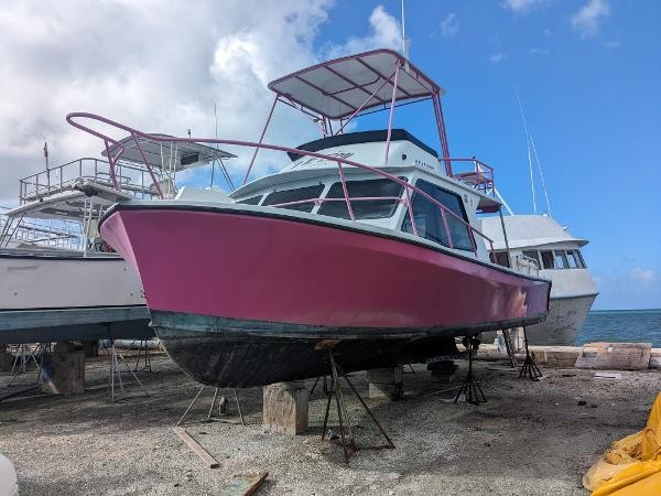 Newton 36 Dive Special