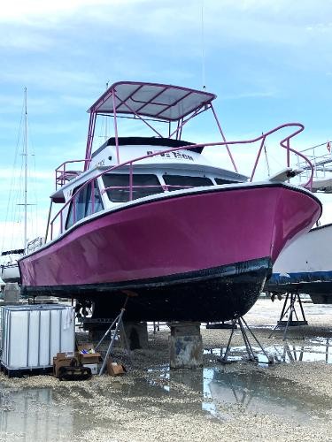 Newton 36 Dive Special