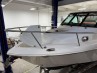 Everglades 320EX