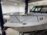 Everglades 320EX