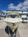 Pursuit 2020 266 Dual Console