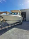 Pursuit 2020 266 Dual Console