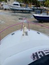 Newton 36 Dive Special